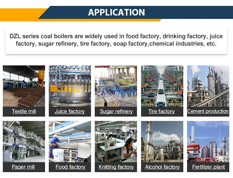 Professional Manufacturer of Coal-Fired Steam Boiler